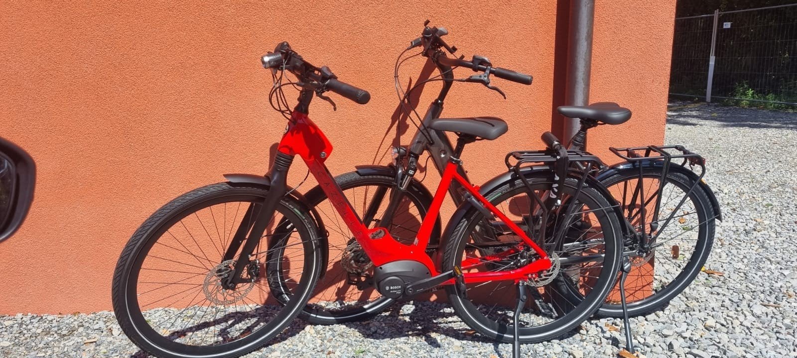 Gazelle Ultimate C8 plus - 2023 - 49 cm