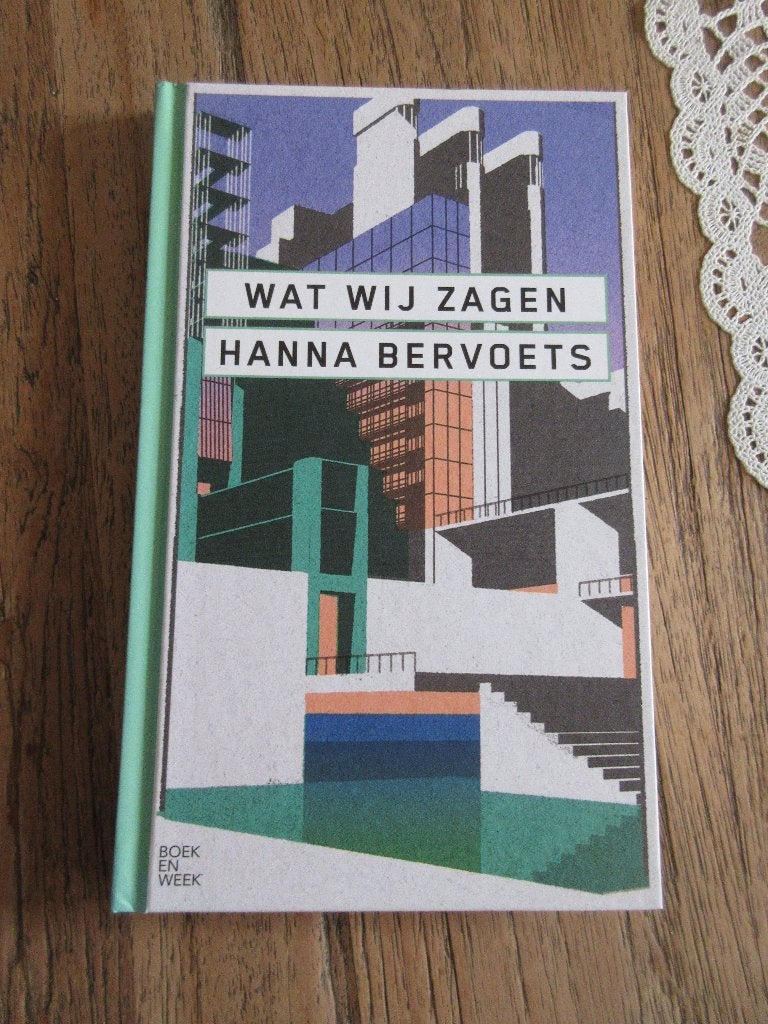 boekenweekgeschenk. Wat wij zagen. Hanna Bervoets, Boeken, Boekenweekgeschenken, Ophalen of Verzenden, Zo goed als nieuw, Hanna Bervoets