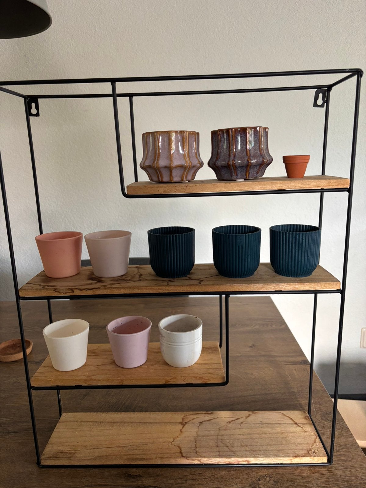 10 Plant Pots with Display Rack | Bloempotjes met Rek, Ophalen, Zo goed als nieuw