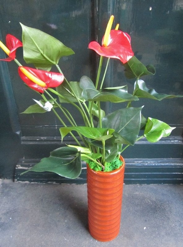 OPRUIMING - ANTHURIUM - KUNST - VAN 24,50 NU 19,50, Huis en Inrichting, Ophalen of Verzenden, Nieuw, Overige merken