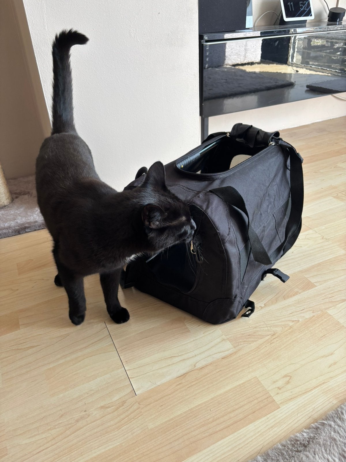 Honden/katten reismand klein, Ophalen, Zo goed als nieuw