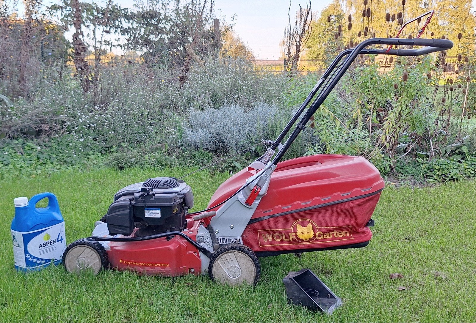 Benzine grasmaaier Wolf-Garten 42B, met mulch, Ophalen, Cirkelmaaier, Gebruikt, 40 t/m 49 cm