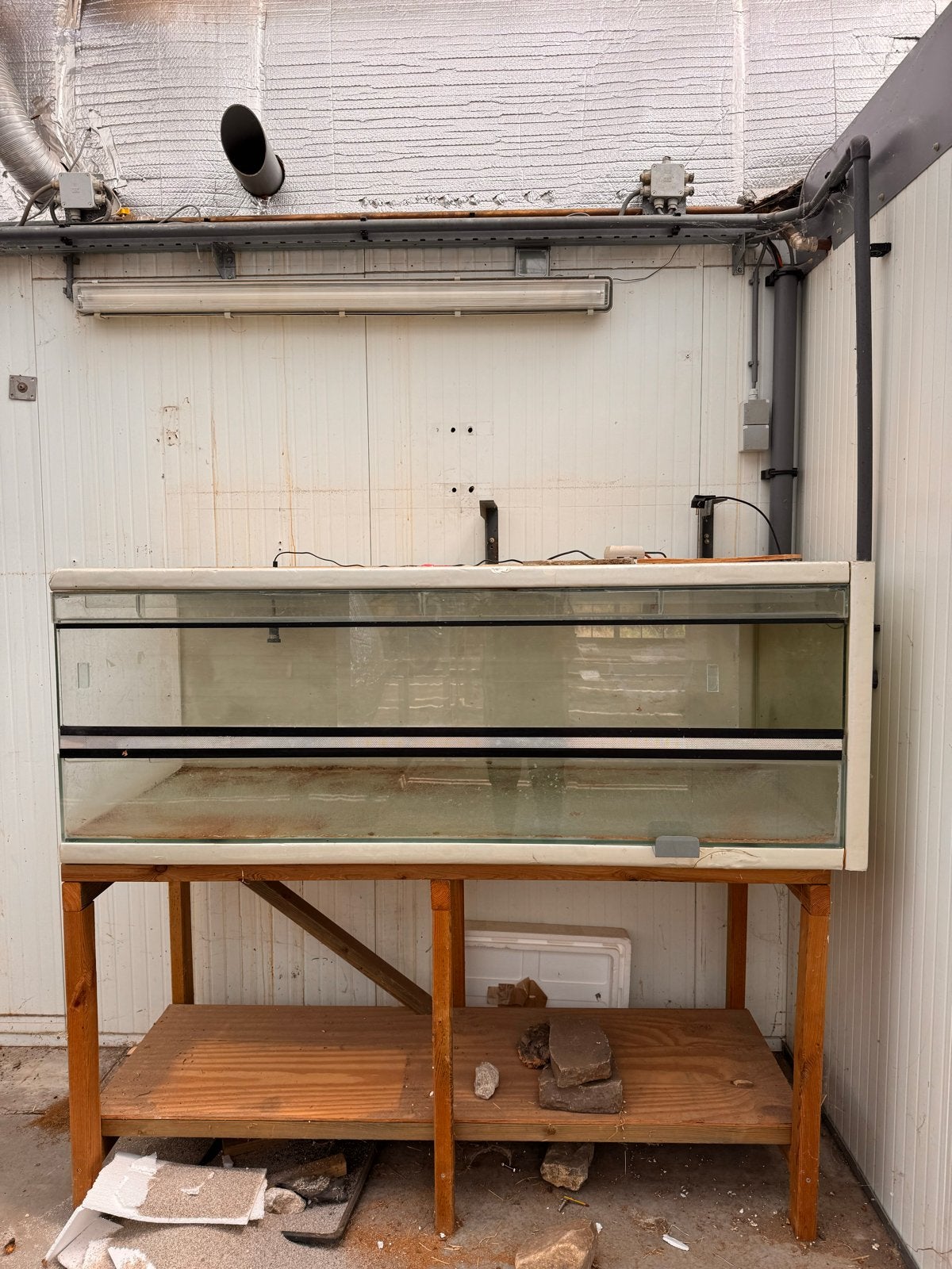 Reptielen aquarium schilpadden slangen enz, Dieren en Toebehoren, Ophalen