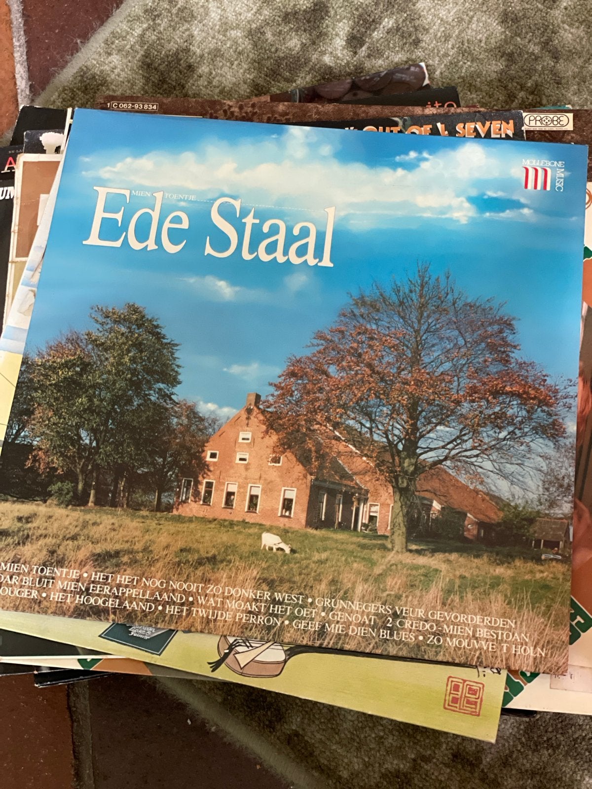 Ede Staal - Mien Toentje (LP), Ophalen, Gebruikt