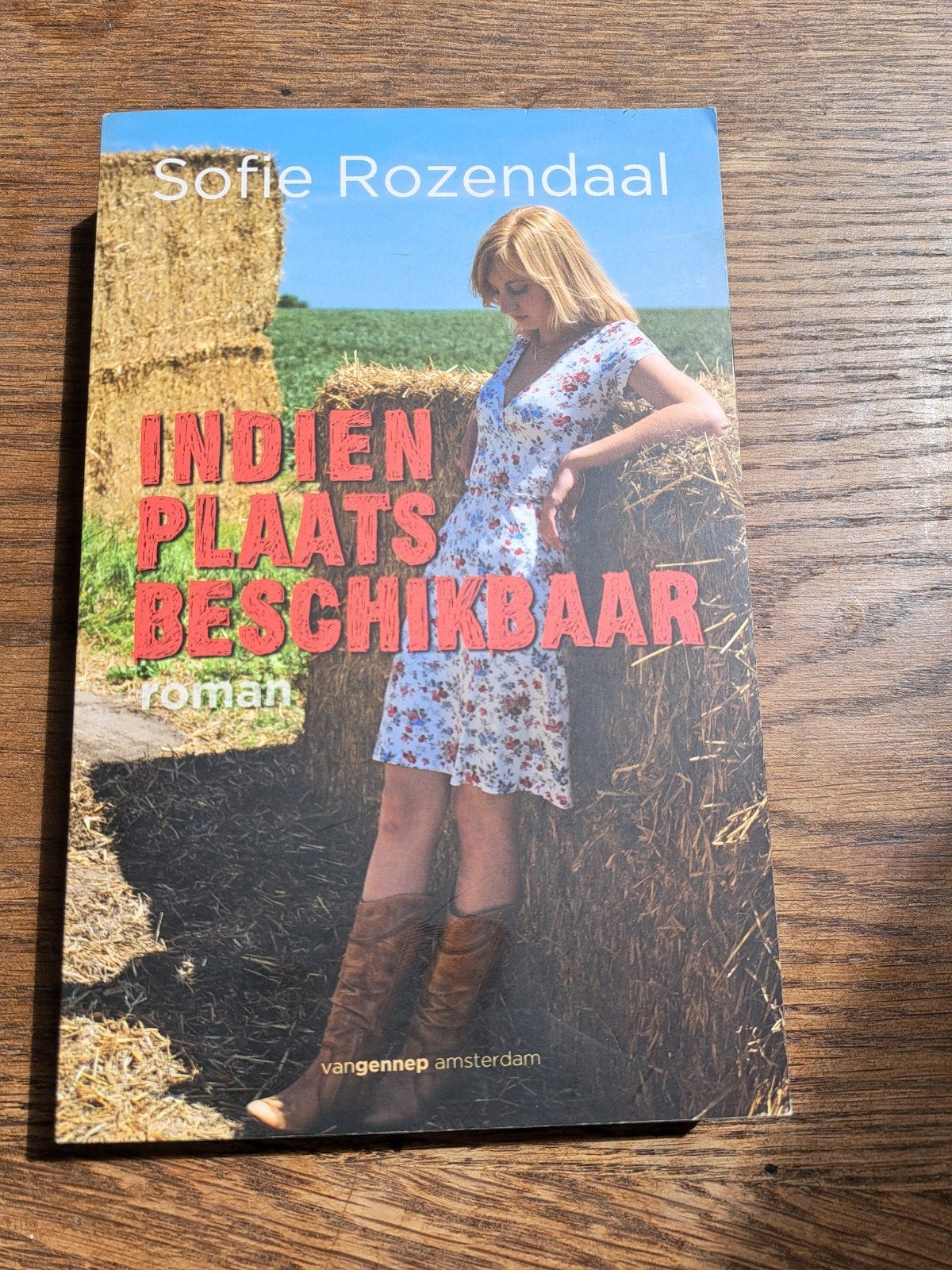 Indien Plaats Beschikbaar - Sofie Rozendaal (Roman), Ophalen of Verzenden, Gelezen, Sofie Rozendaal, Nederland