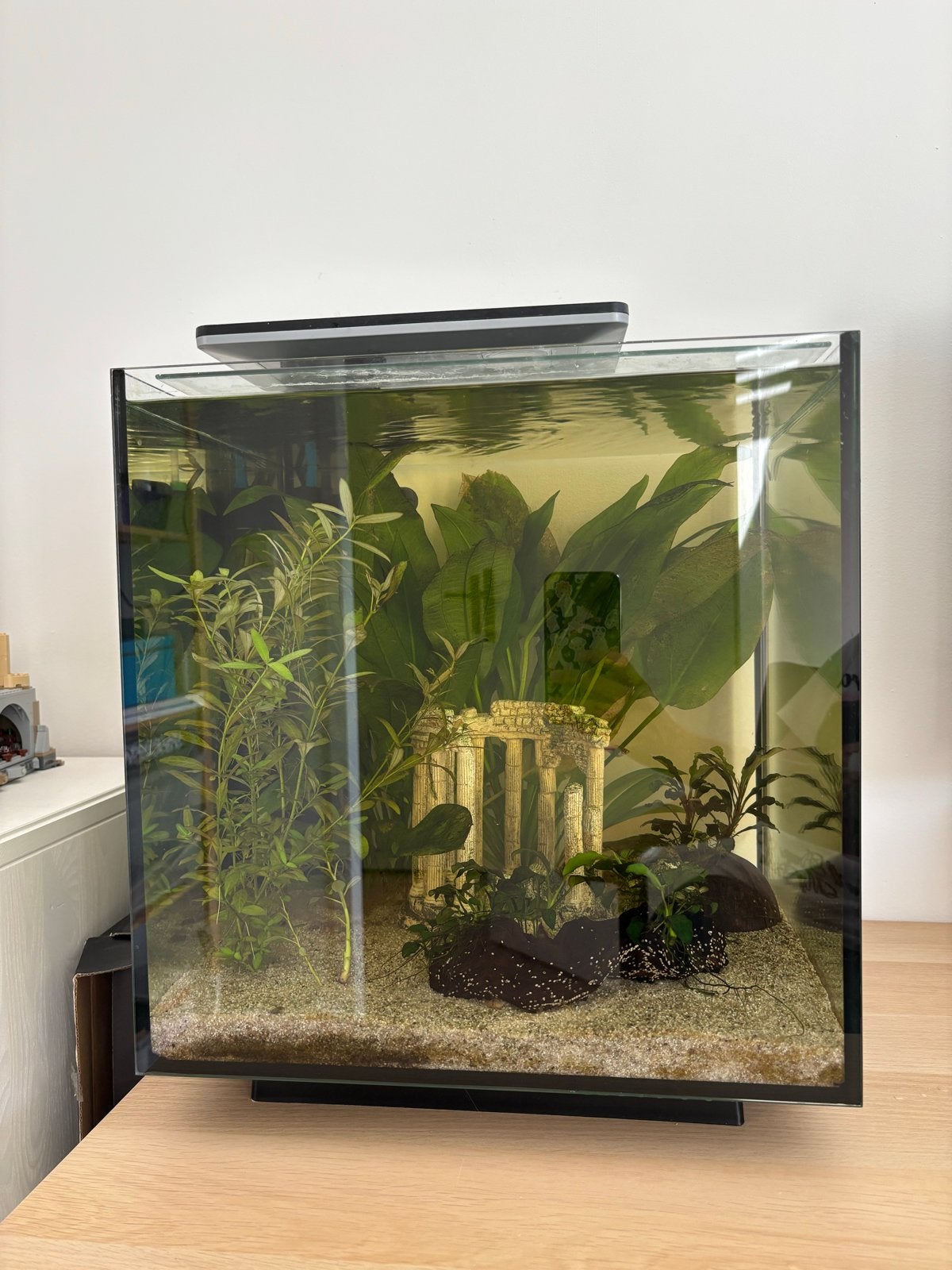 Foto 7 van Aquarium 60L all inclusive