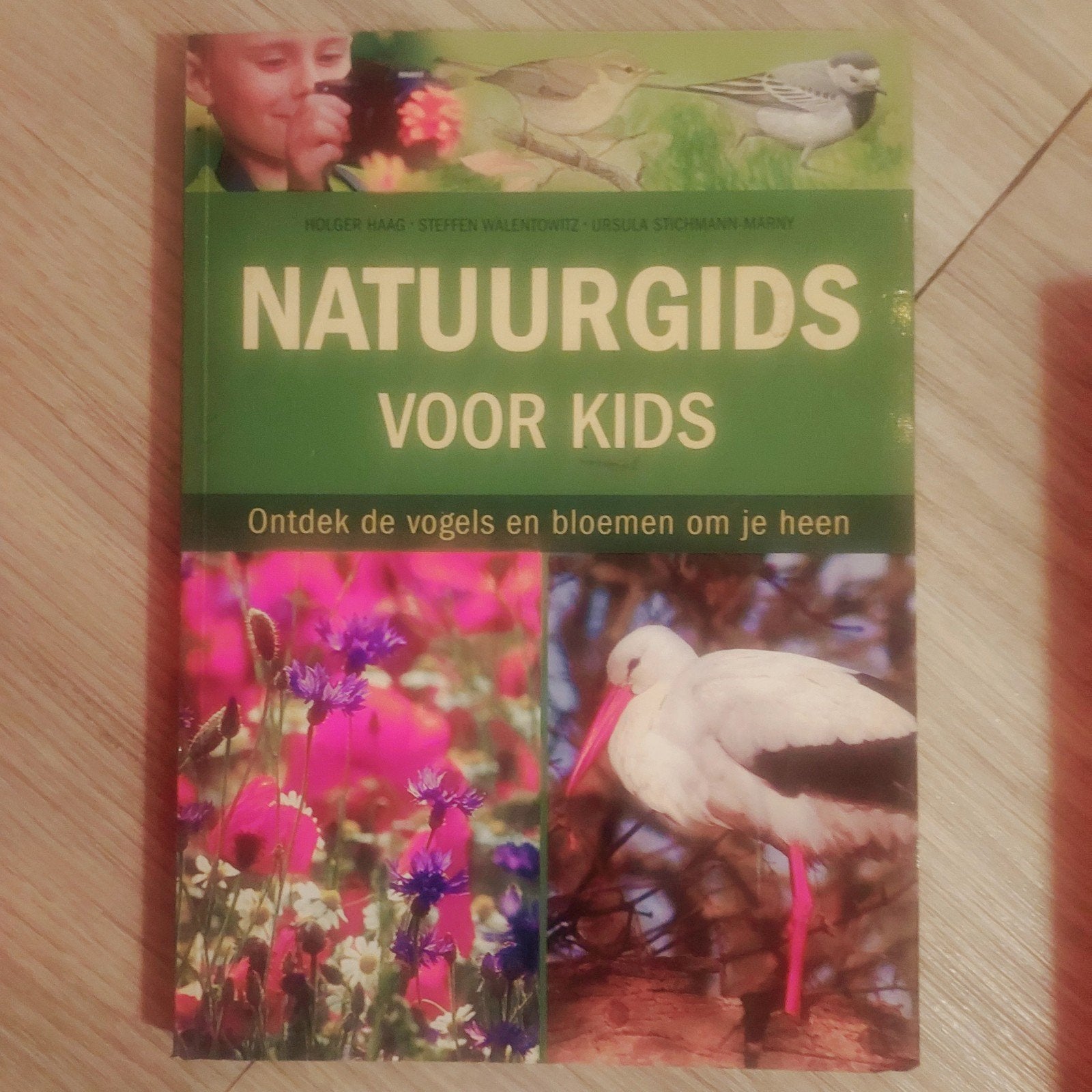 Natuurgids voor Kids: Ontdek Vogels en Bloemen, Gelezen, Ophalen of Verzenden, Holder Haag, Steffen Walentowitz, Ursula Stichmann-Marny