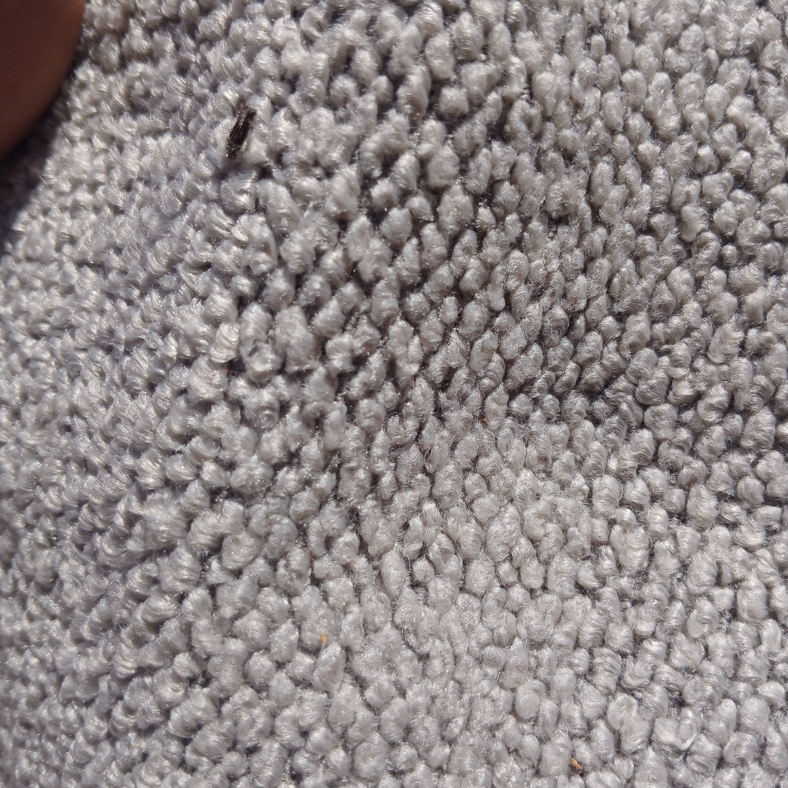 Meubelstof Teddy beer, Rechthoekig, Nieuw, 200 cm of meer, 50 tot 100 cm