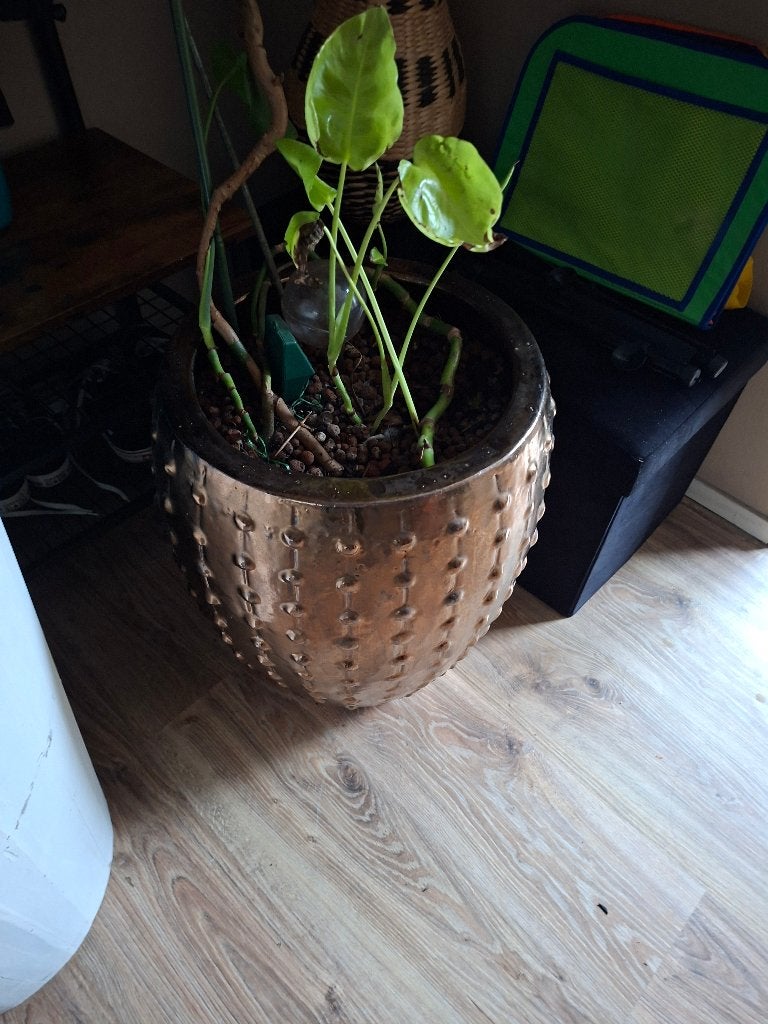 Mooie apparte brons kleurige bloempot, Tuin en Terras, Ophalen, Steen, Gebruikt, 40 cm of meer