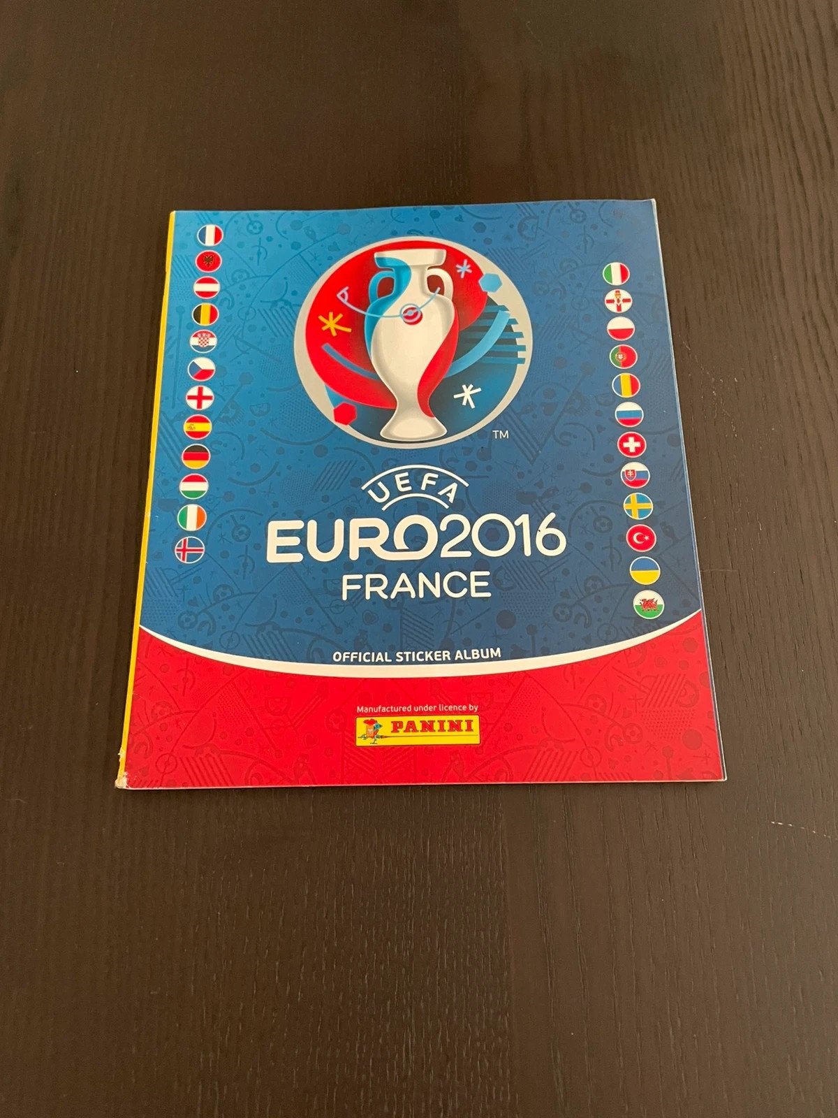 Panini Euro 2016 Leeg, Ophalen of Verzenden, Zo goed als nieuw