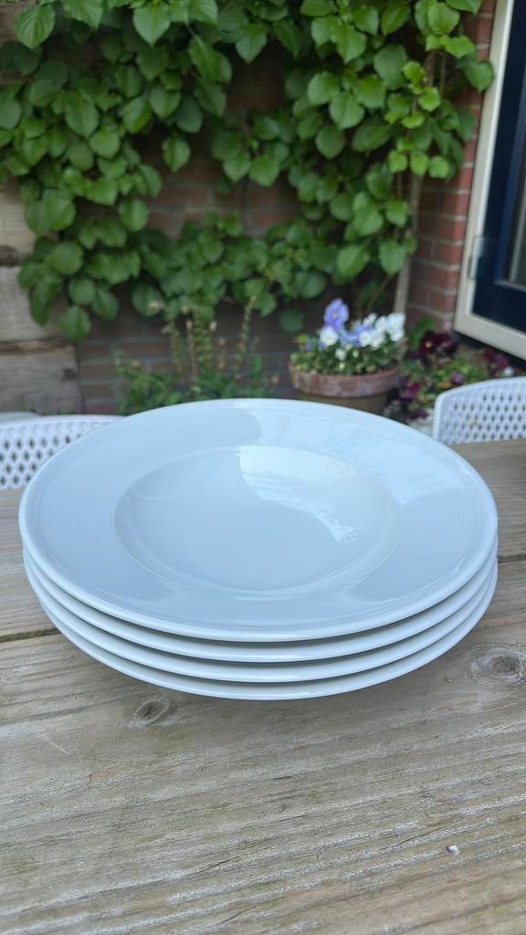 Thomas rosenthal group trend white pastaborden, Ophalen of Verzenden, Zo goed als nieuw, Bord(en), Overige stijlen