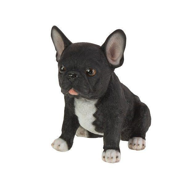 Beeld Franky – Franse bulldog – Zwart – Polyresin, Ophalen of Verzenden, Nieuw, Zwart, Kunststof