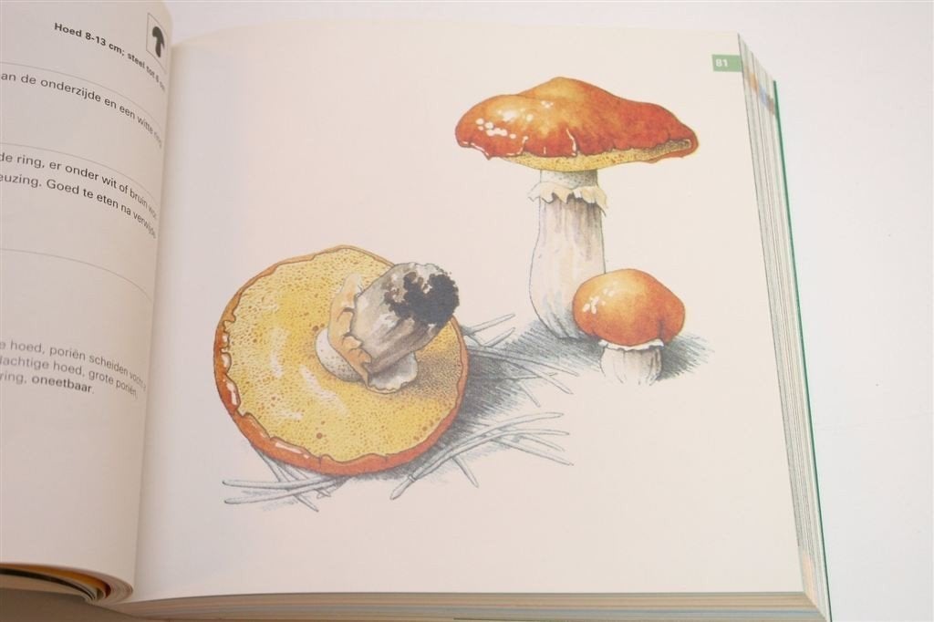 Paddenstoelen — Herkennen & Determineren in West-Europa, Boeken, Ophalen of Verzenden, Gelezen, Vogels