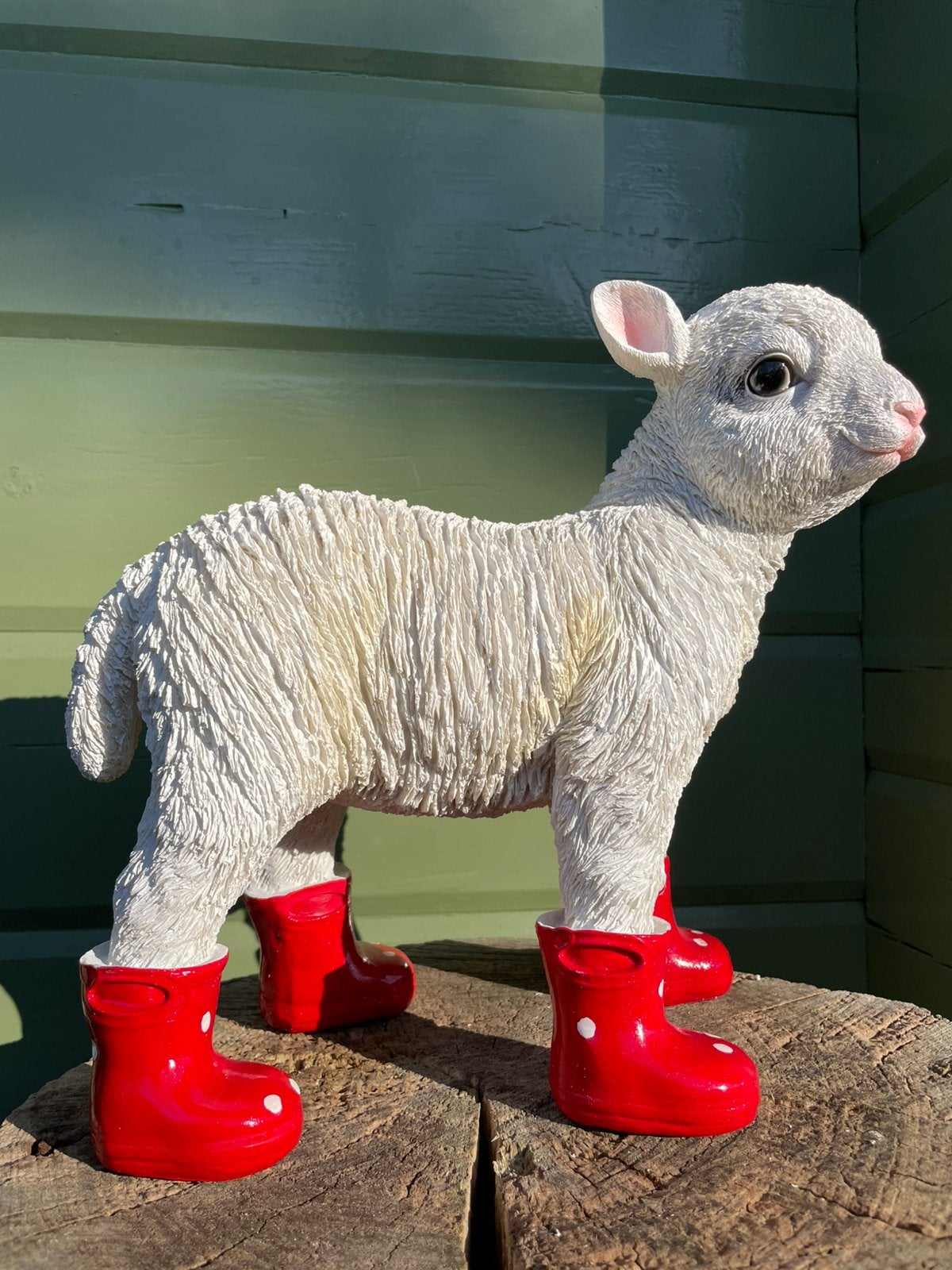 Lam schaap rode regenlaarsjes beeld tuin wol boerderij boer, Ophalen of Verzenden, Nieuw, Kunststof, Dierenbeeld