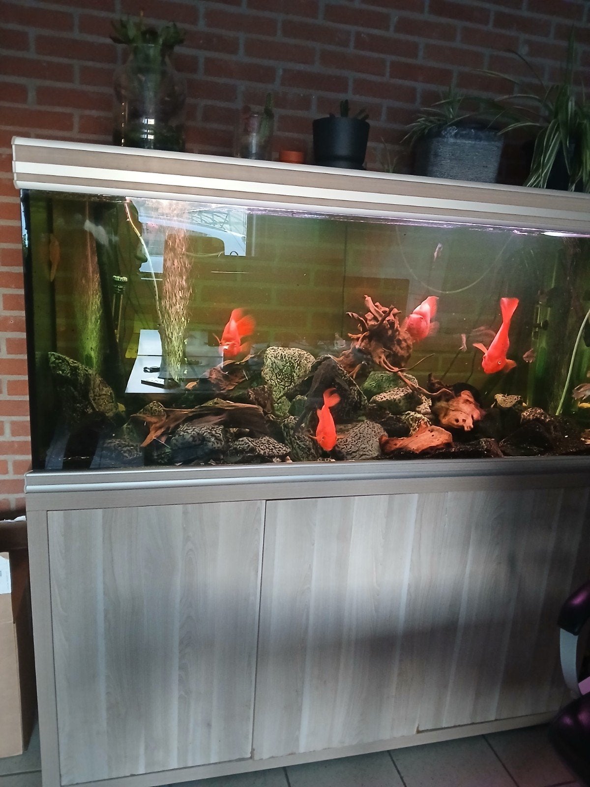Aqualantis Fusion 150 cm, Dieren en Toebehoren, Vissen | Aquaria en Toebehoren, Ophalen, Gebruikt, Leeg aquarium