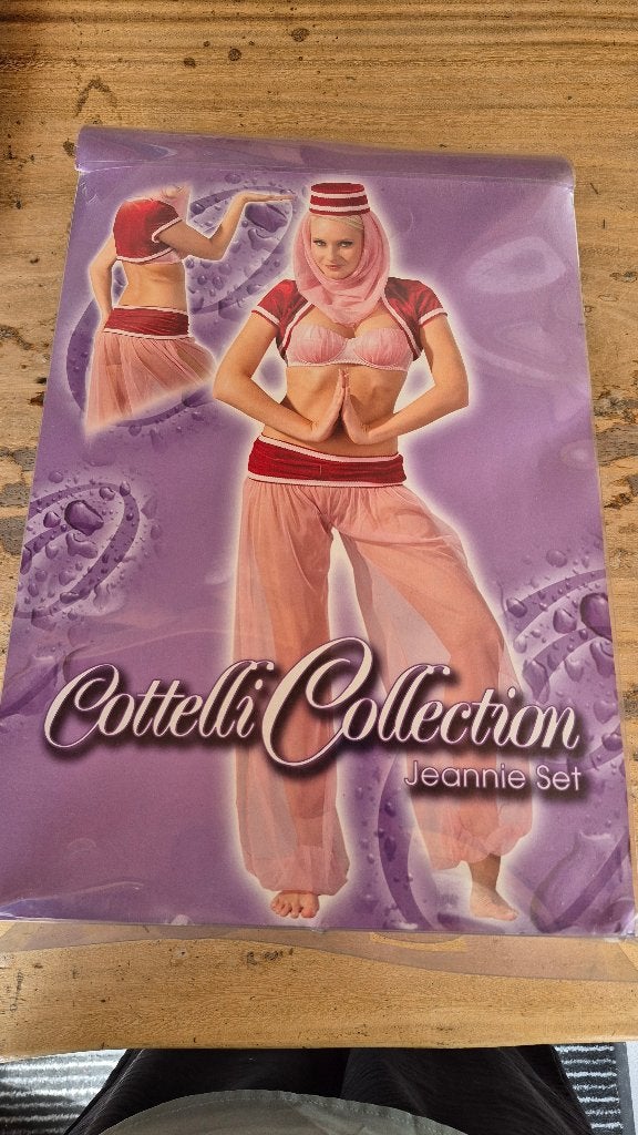 Harem dame kostuum, Ophalen of Verzenden, Zo goed als nieuw, Carnaval, Kleding