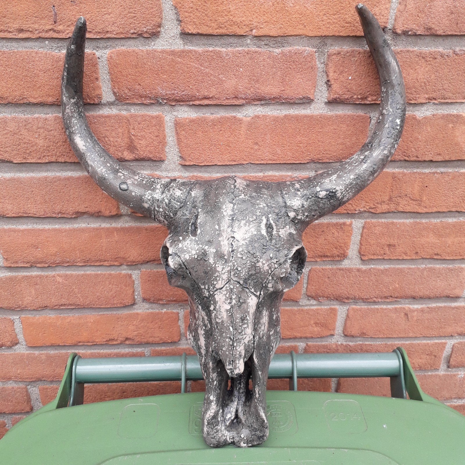 Stoere Stier Schedel met Hoorns Muurdecoratie, Ophalen, Gebruikt, Overige materialen, Grijs