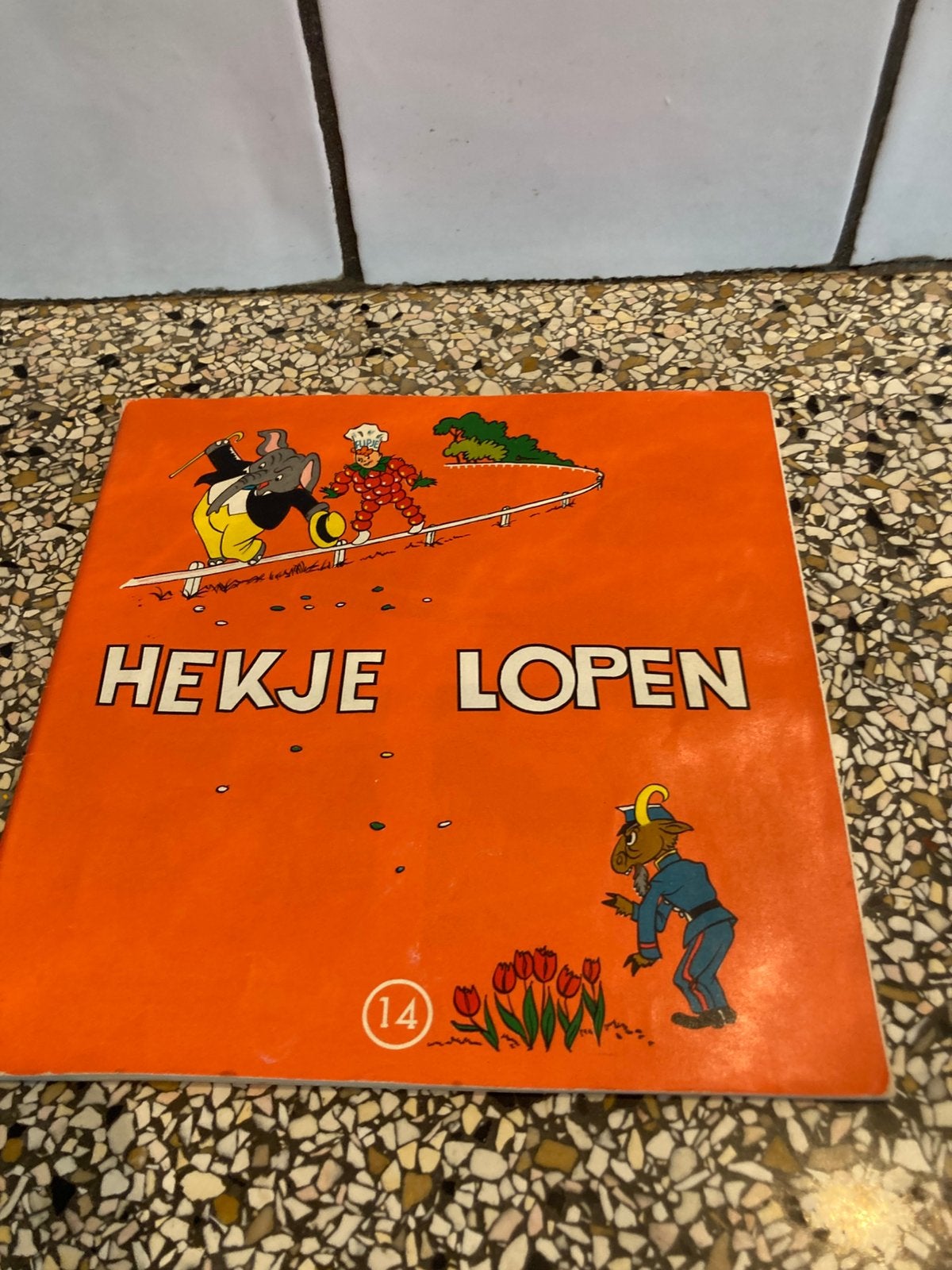 Flupje boek hekje lopen, Ophalen of Verzenden, Zo goed als nieuw