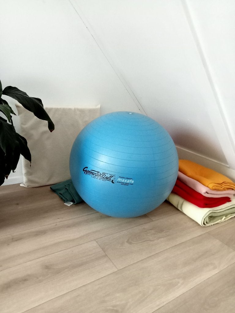Gymnastiekbal, Ophalen, Gebruikt, Benen, Fitnessbal