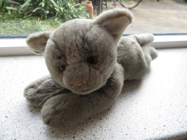 Poes of kat grijs met donkere strepen merk Evora, Kinderen en Baby's, Korrelvulling, Grijs, Ophalen of Verzenden, Zo goed als nieuw