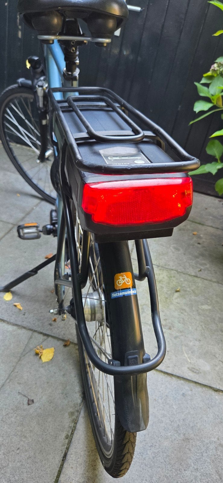 Foto 9 van Batavus Stream ebike met zeer krachtige motor