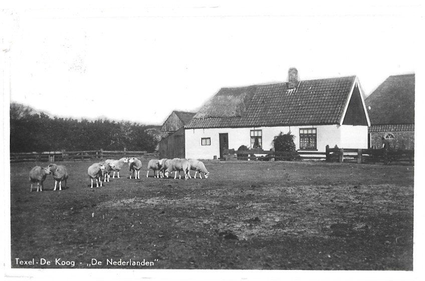 AK Texel, De Koog - Vakantiehuis De Nederlanden, Verzenden, 1940 tot 1960, Gelopen, Waddeneilanden