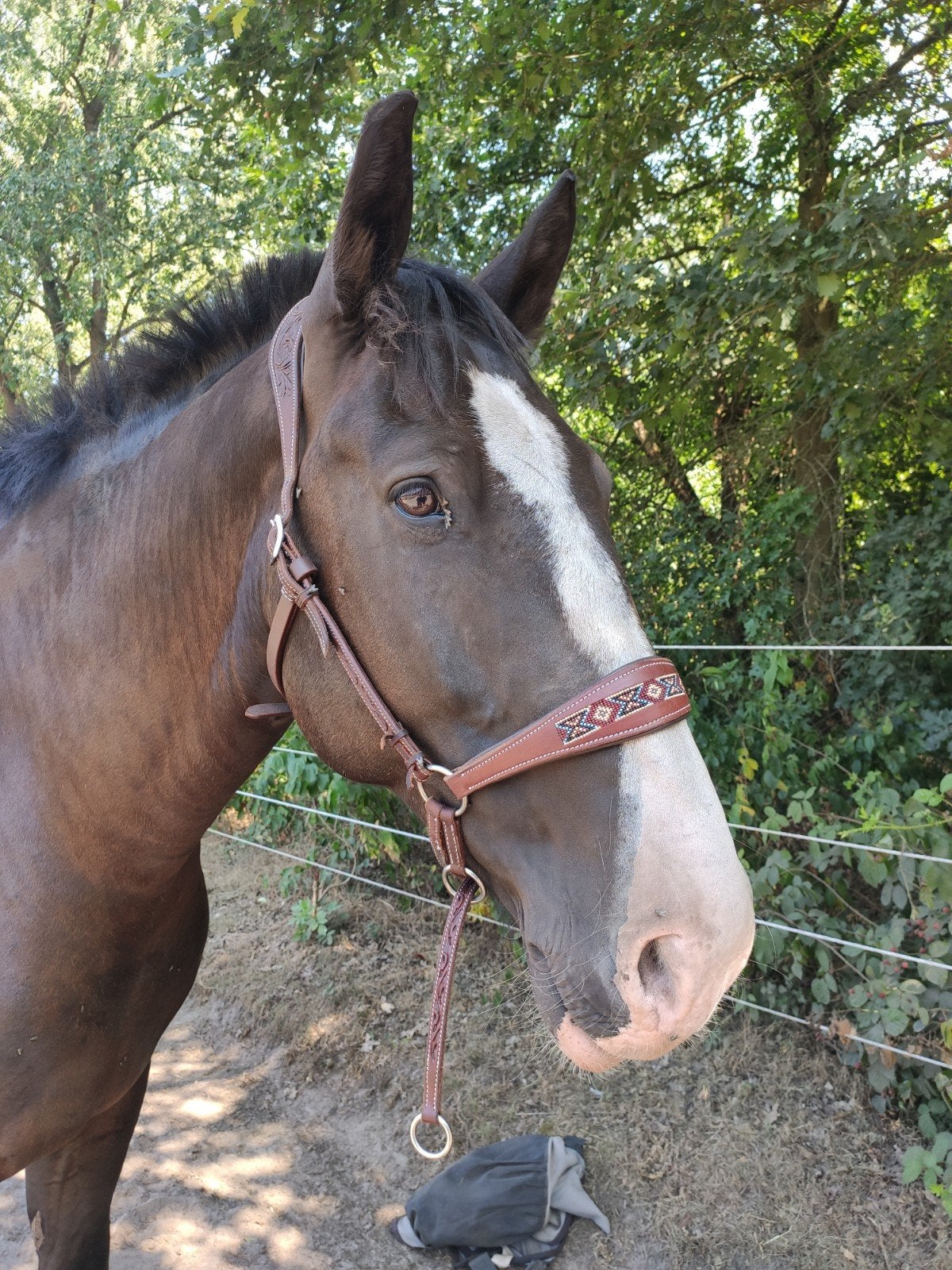 NIEUW kingekruisd bitloos hoofdstel kifrahorse full/x-full, Hoofdstel, Bruin, Verstelbaar, Nieuw