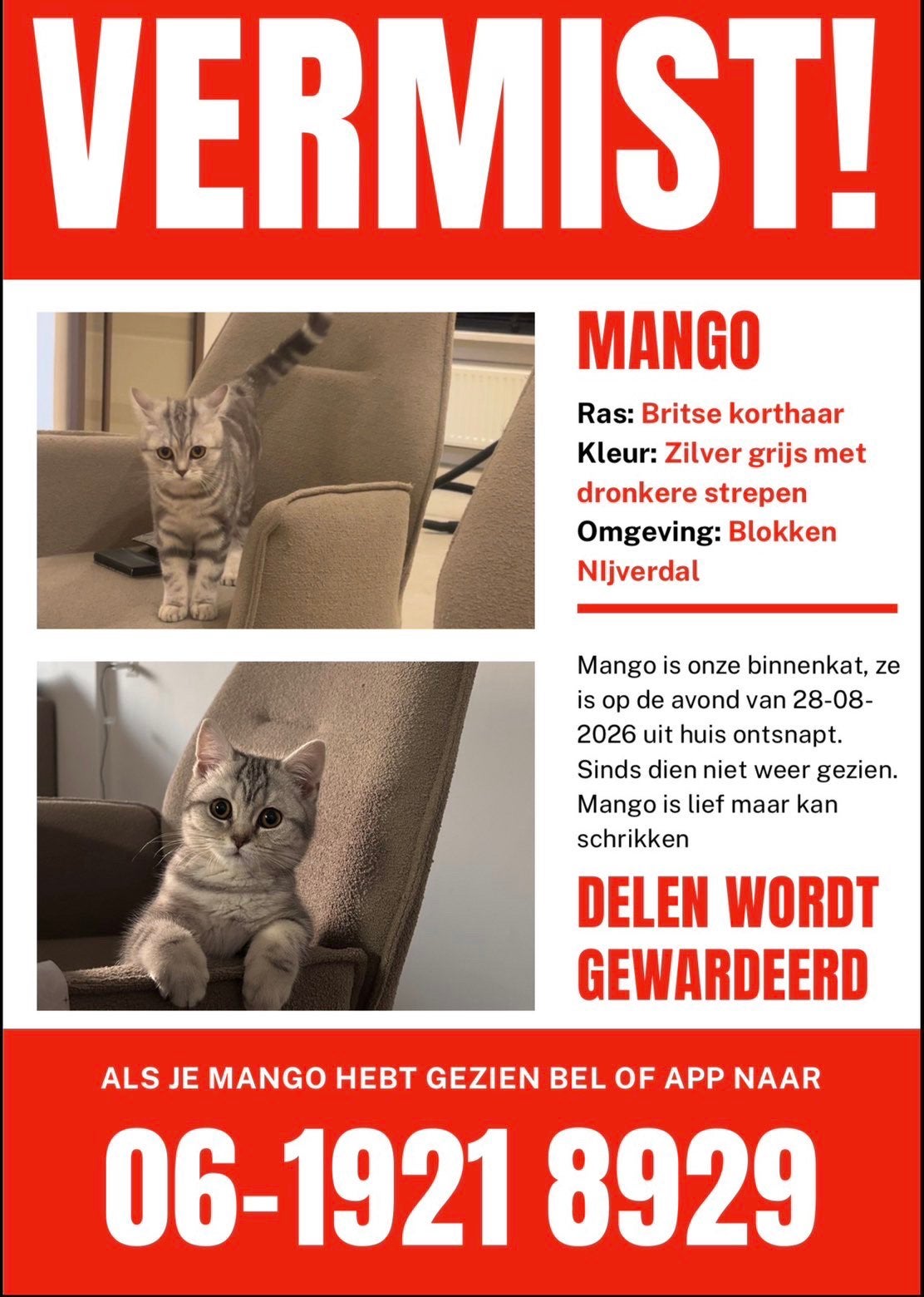 Kat vermist, Kat