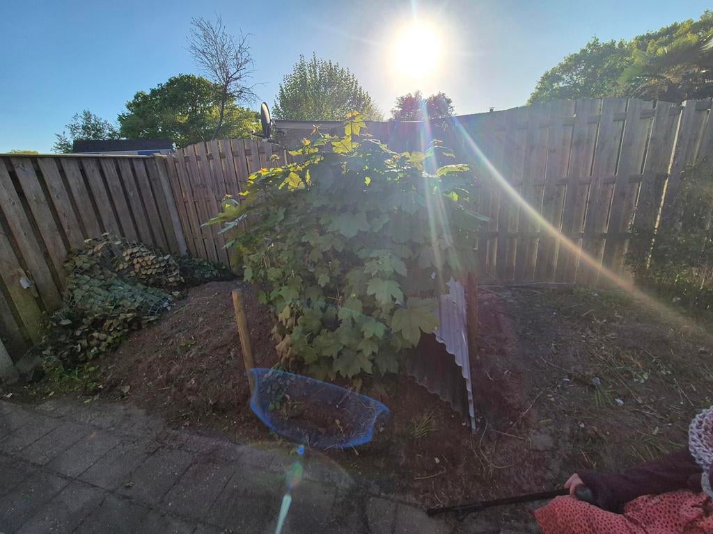 Gratis zwarte grond af te halen (ca. 3 kuub), Ophalen, Gebruikt, Overige typen
