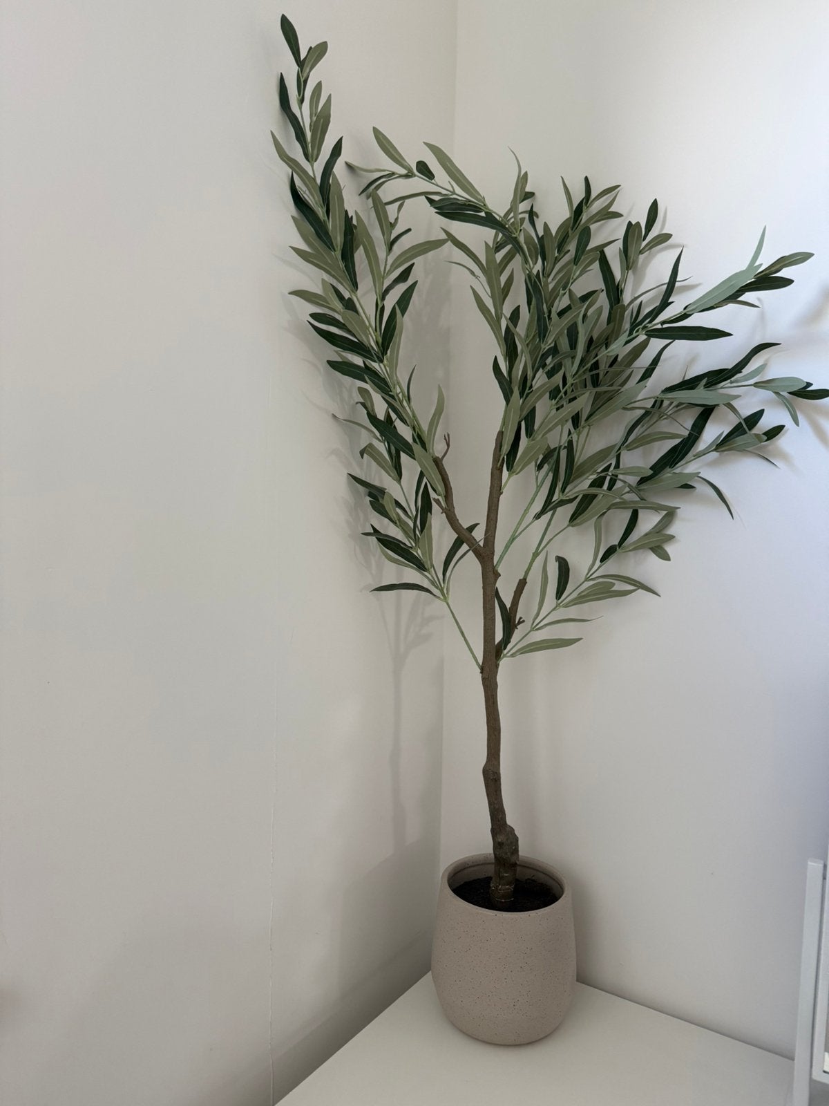 Kunst olijfboom met pot, Ophalen of Verzenden, Zo goed als nieuw