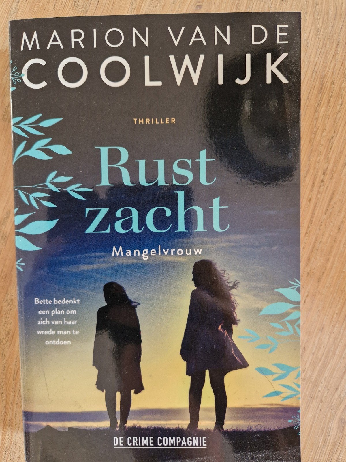 Rust zacht: Mangelvrouw - Marion van de Coolwijk (Thriller), Ophalen of Verzenden, Zo goed als nieuw, Marion van de Coolwijk, Nederland