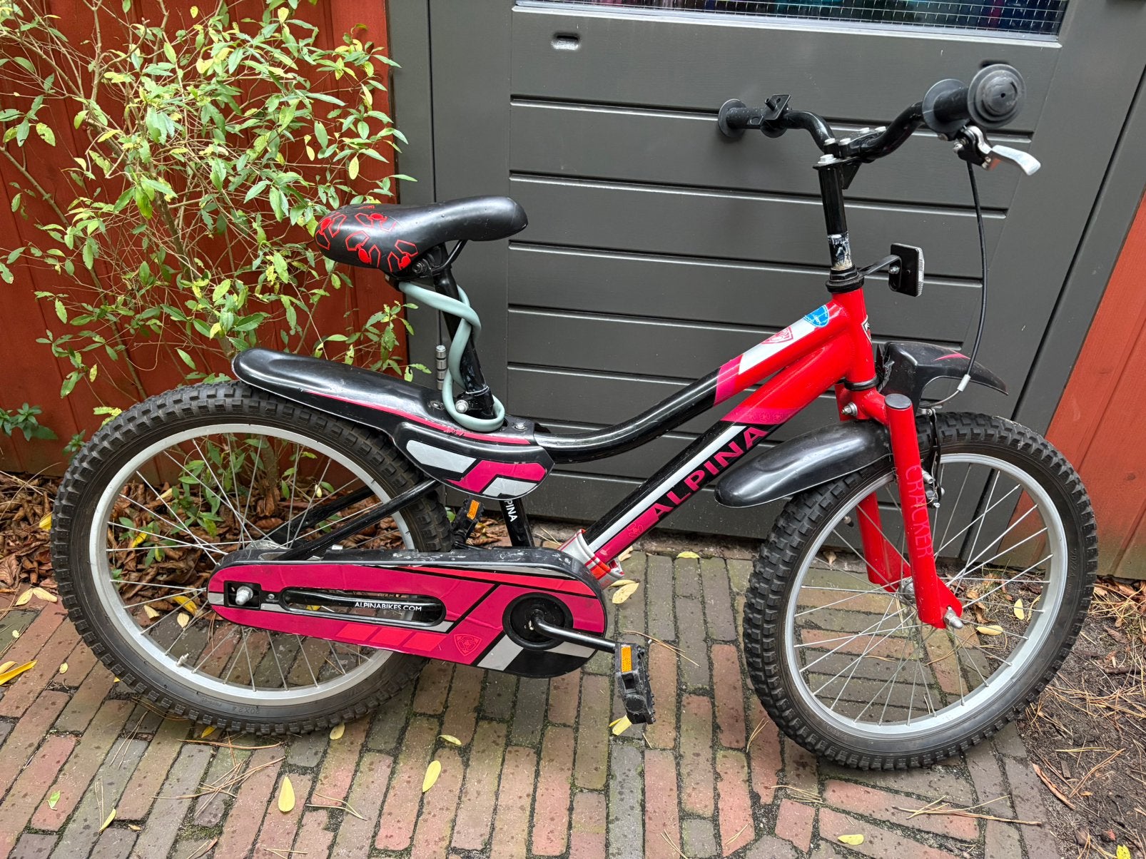 Alpina stoere kinderfiets 20 inch, Ophalen, Gebruikt, 20 inch of meer
