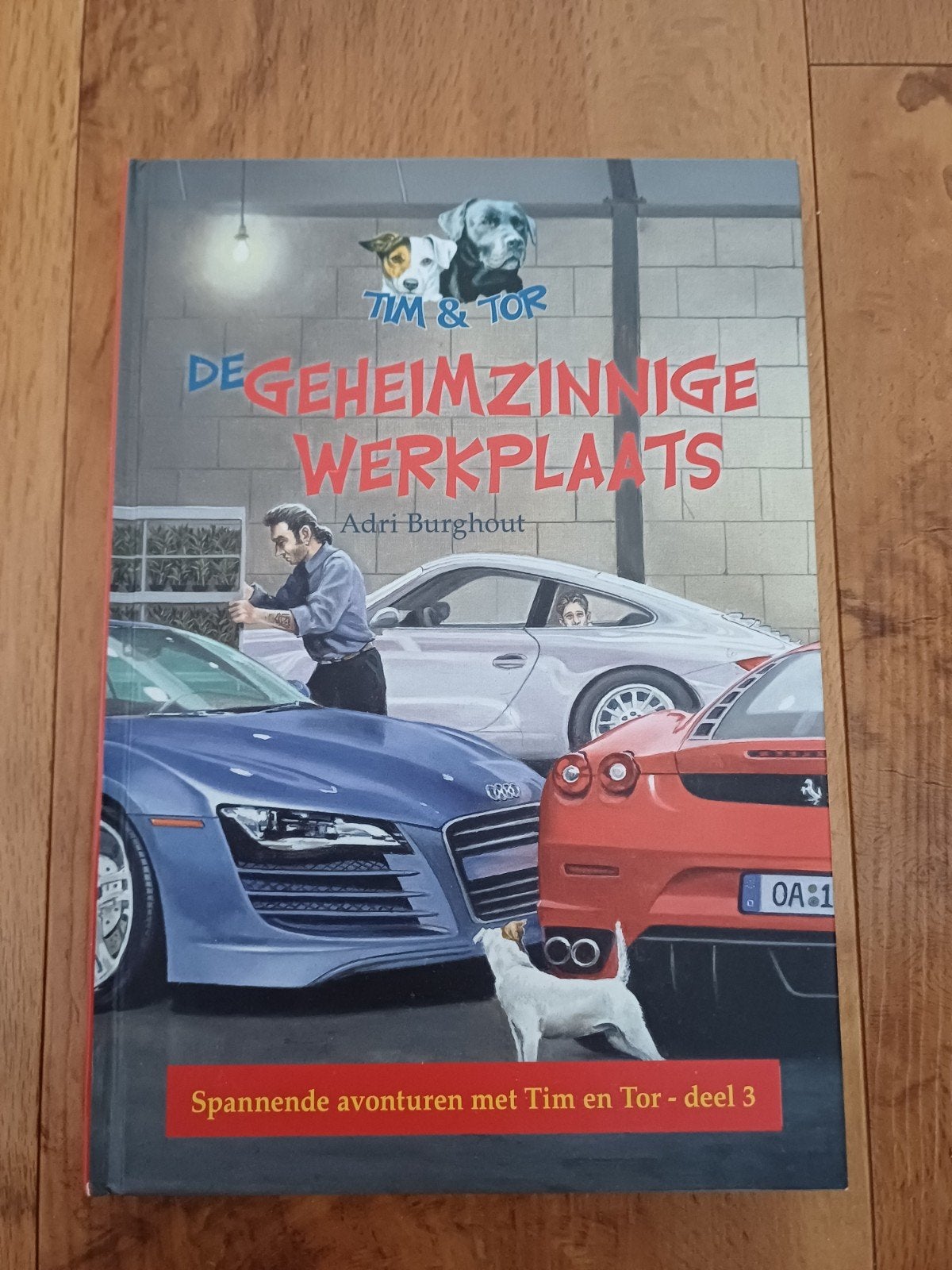 Adri Burghout - De geheimzinnige werkplaats, Boeken, Ophalen of Verzenden, Zo goed als nieuw, Adri Burghout