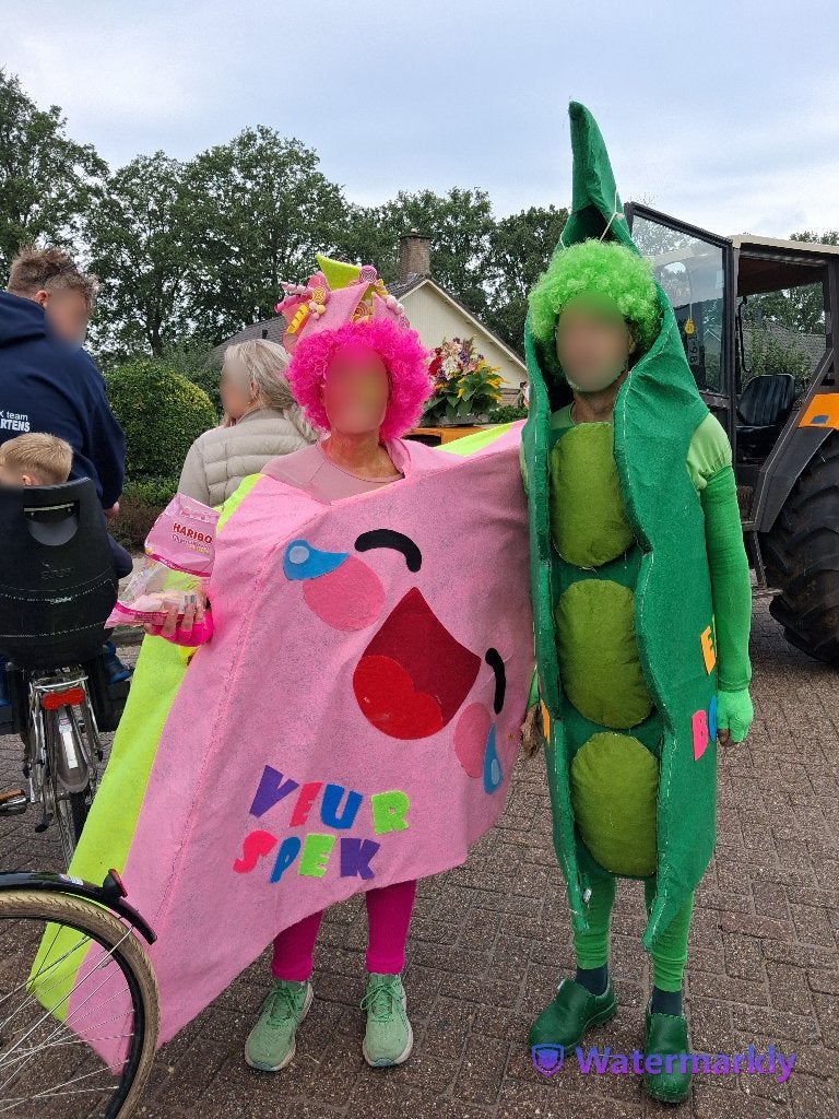 carnaval, Ophalen, Zo goed als nieuw, Kostuum, Carnaval