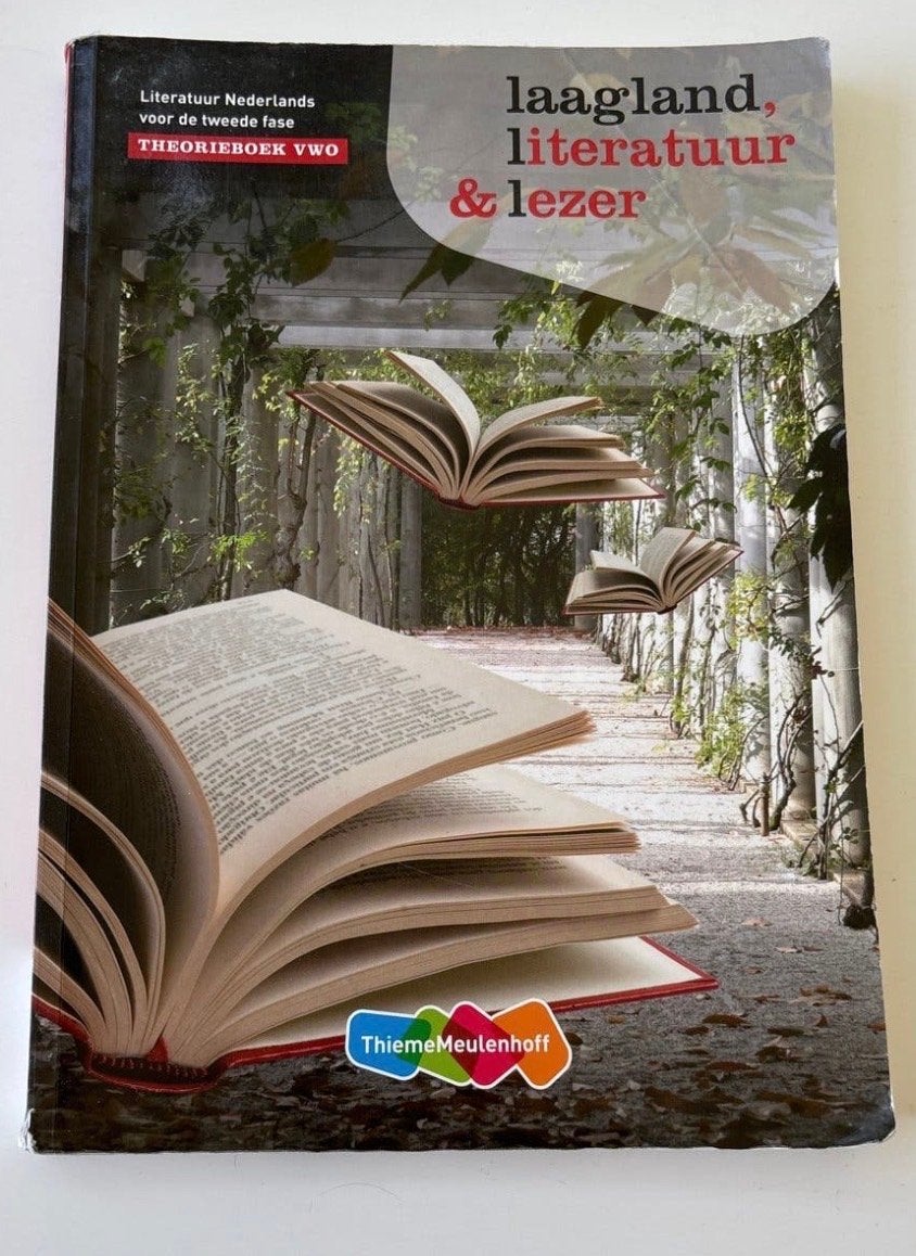 Laagland, literatuur & lezer - Theorieboek VWO, Boeken, Ophalen of Verzenden, Zo goed als nieuw, VWO, Nederlands