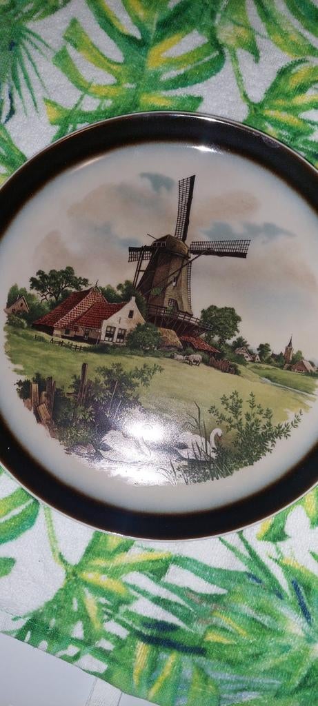 verzamelbord van Royal schwabap, Antiek en Kunst, Antiek | Wandborden en Tegels, Ophalen