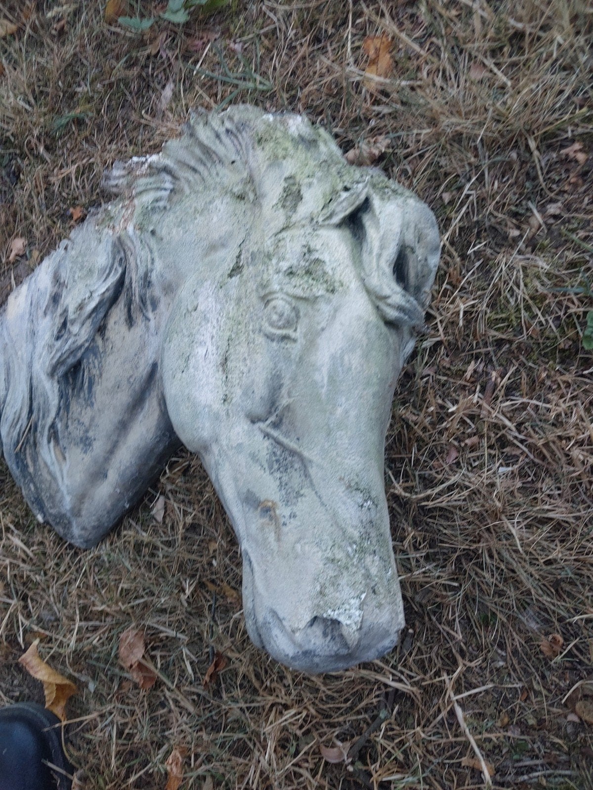 Paardenhoofd  van gips, Ophalen