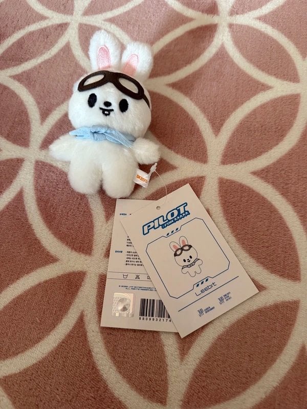 Stray Kids SKZOO Leebit Pilot plush, Ophalen of Verzenden, Nieuw, Overige typen
