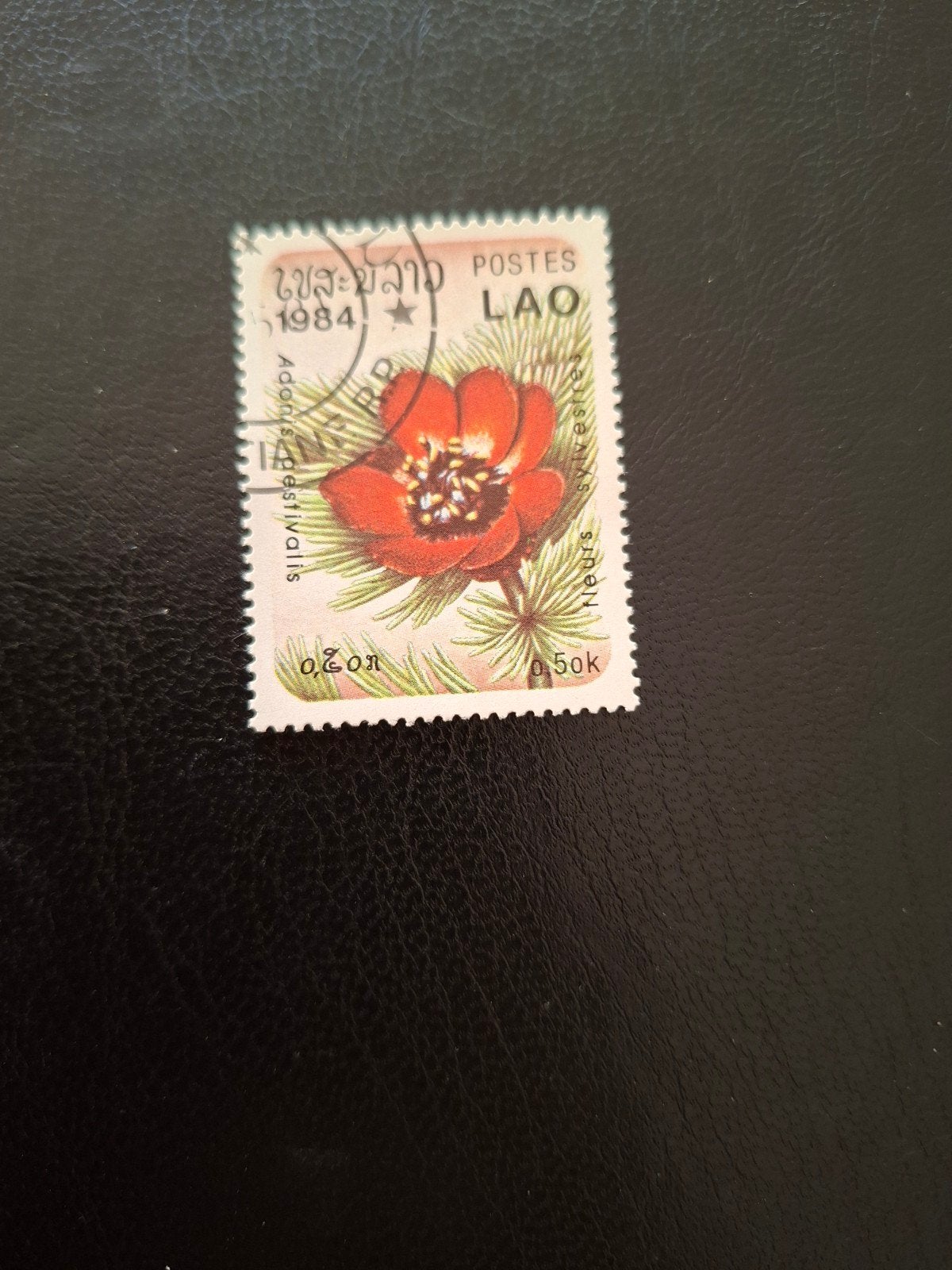 Bloem. Laos., Ophalen of Verzenden