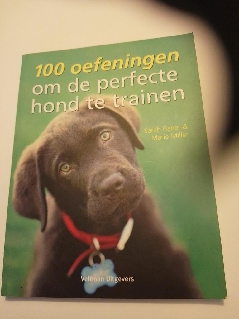 Boek: 100 oefeningen om de perfecte hond te trainen, Boeken, Ophalen of Verzenden