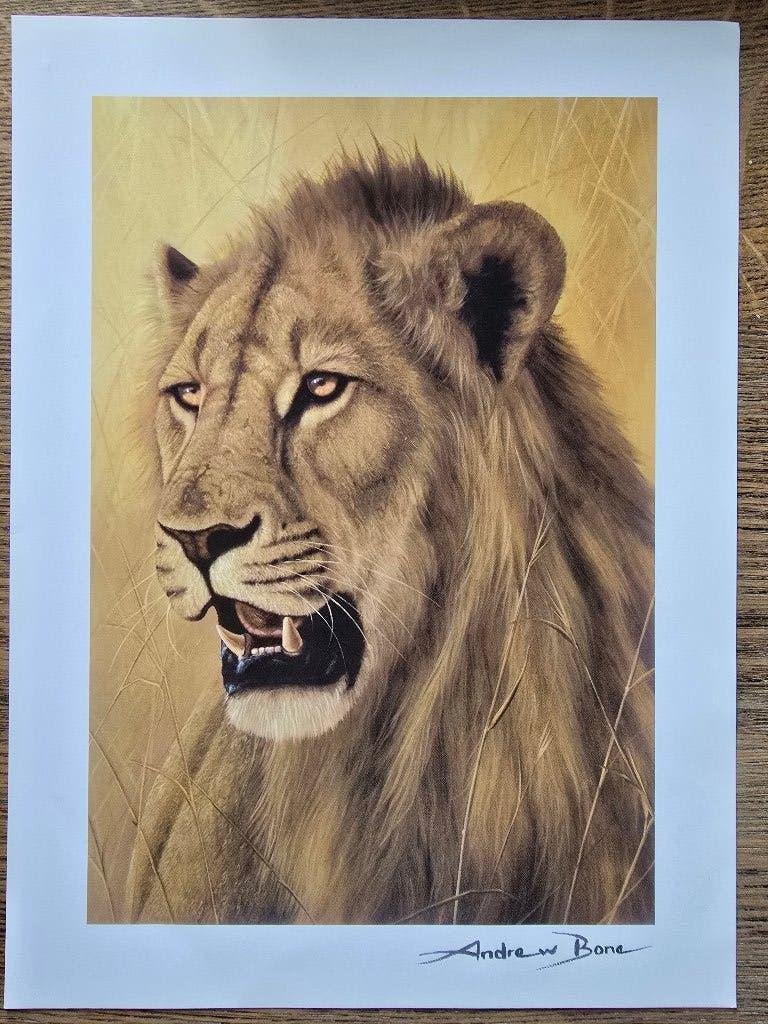 Young Warrior, by Andrew Bone, Gesigneerd, Ophalen of Verzenden, Lithografie, Dieren en Natuur