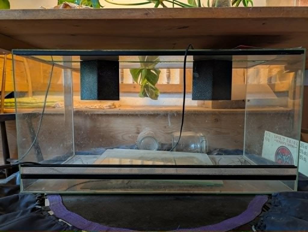 Terrarium 80 x 40 x 40 KOOPJE, Dieren en Toebehoren, Reptielen en Amfibieën | Toebehoren, Ophalen, Zo goed als nieuw, Terrarium of Paludarium