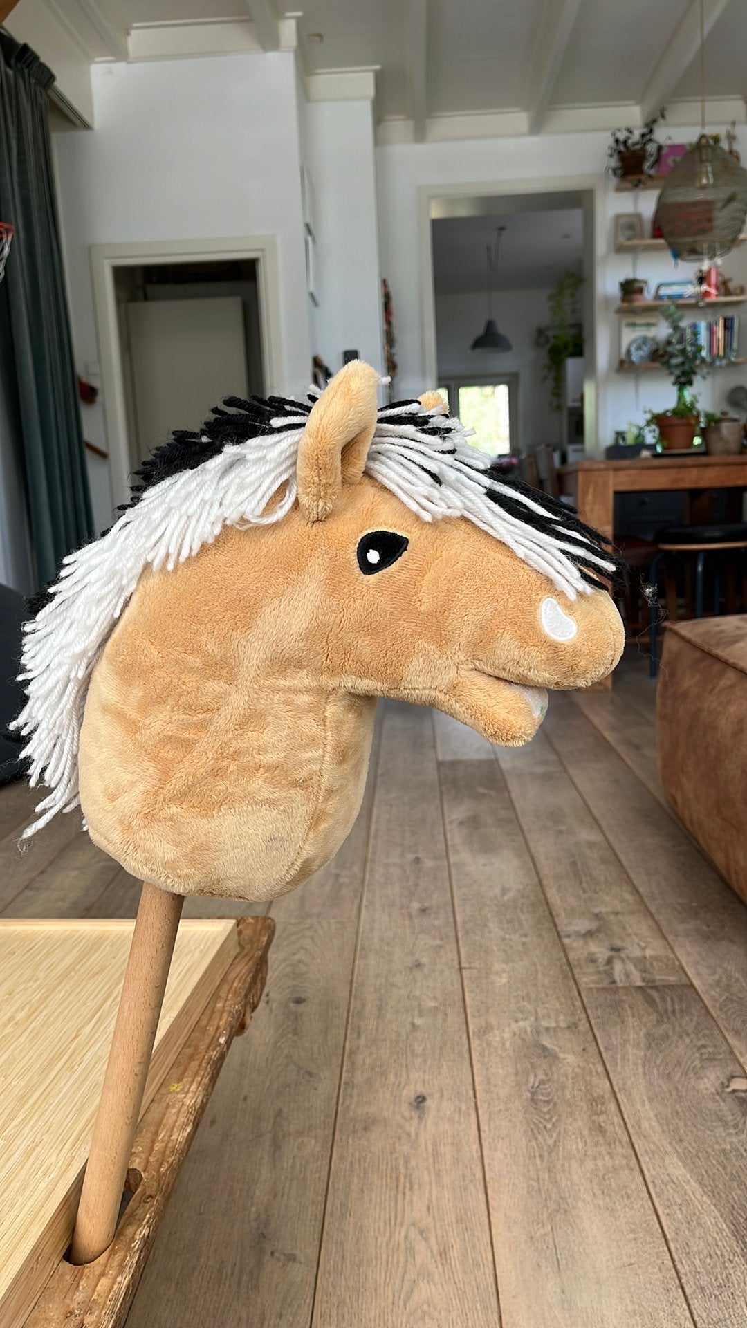 Leuke hobbyhorse, Ophalen of Verzenden, Zo goed als nieuw