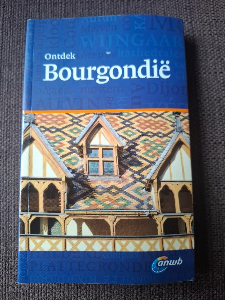 ANWB ontdek reisgids - Bourgondië, Gelezen, Europa, Ophalen of Verzenden, Reisgids of -boek