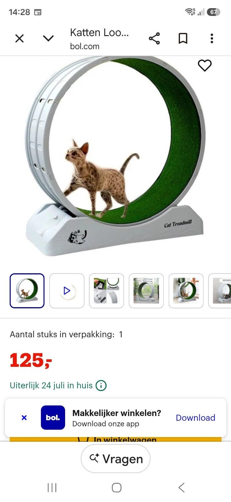 Katten loopwiel voor katten met energie, Ophalen, Overig speelgoed