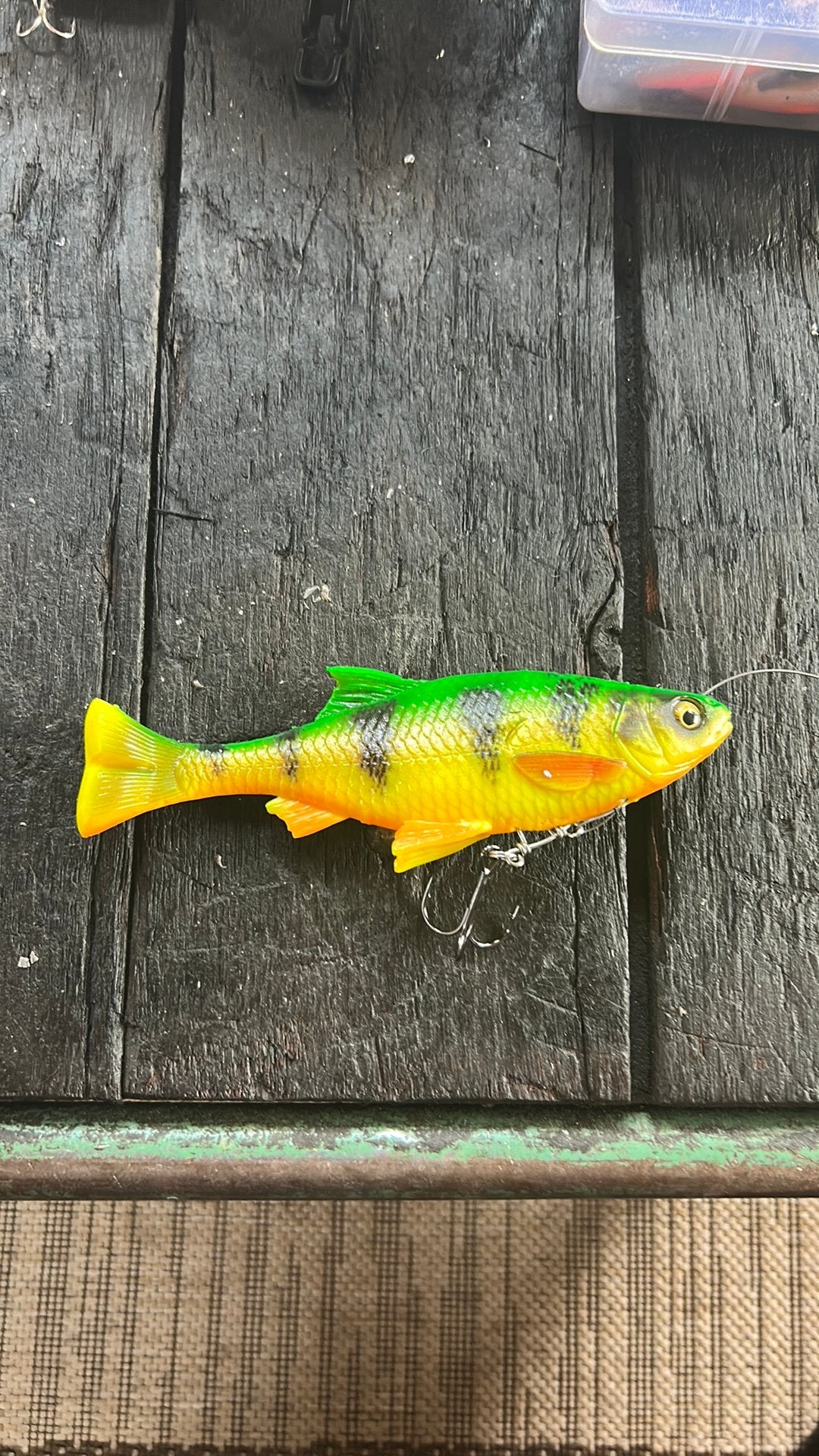 Line trough roach, Ophalen of Verzenden, Nieuw