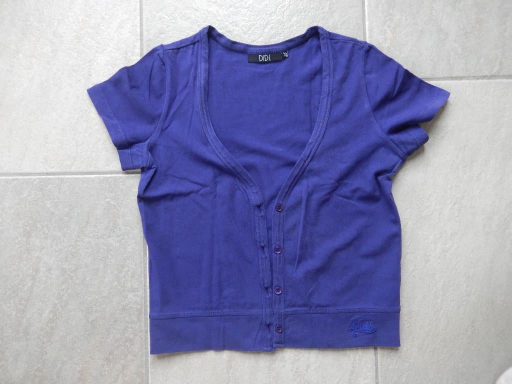 Geweldig mooi paars vestje van DIDI, Kleding | Dames, Truien en Vesten, Paars, Didi, Ophalen of Verzenden, Zo goed als nieuw