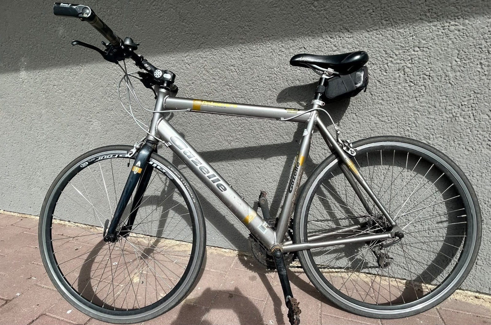 Gazelle Hybride Fiets - Perfect voor Stad en Tour, Ophalen