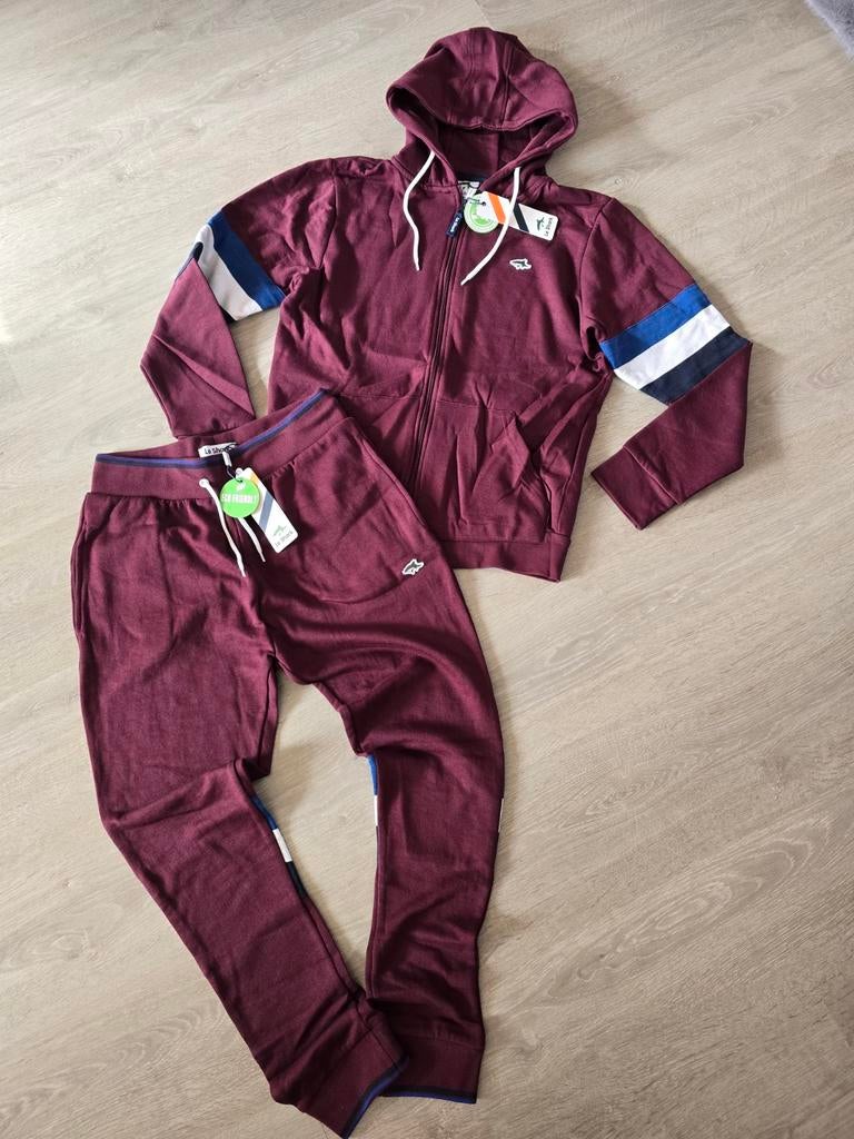 Le Shark Prowse Men Tracksuit, maat S, Nieuw (PW8), Ophalen of Verzenden, Nieuw, Maat 52/54 (L), Algemeen