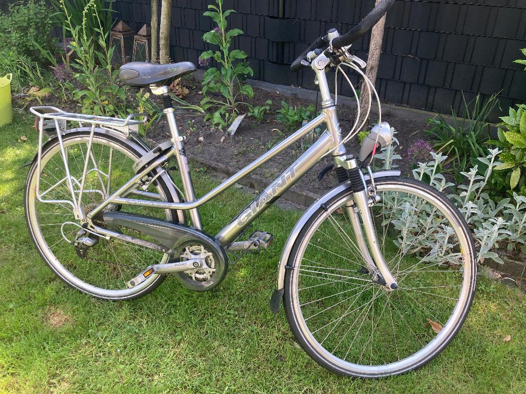 Lichtgewicht fiets merk Giant, Ophalen, Gebruikt, Giant